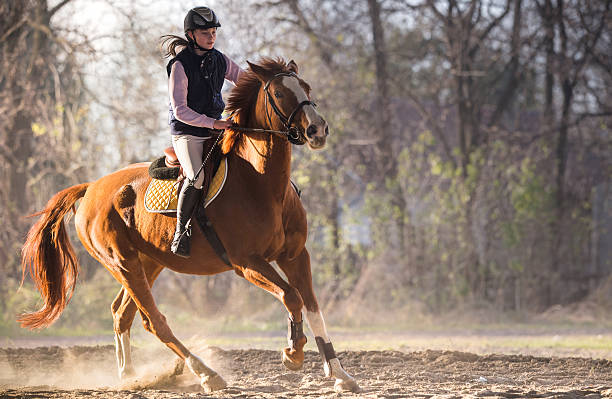 Horse riding